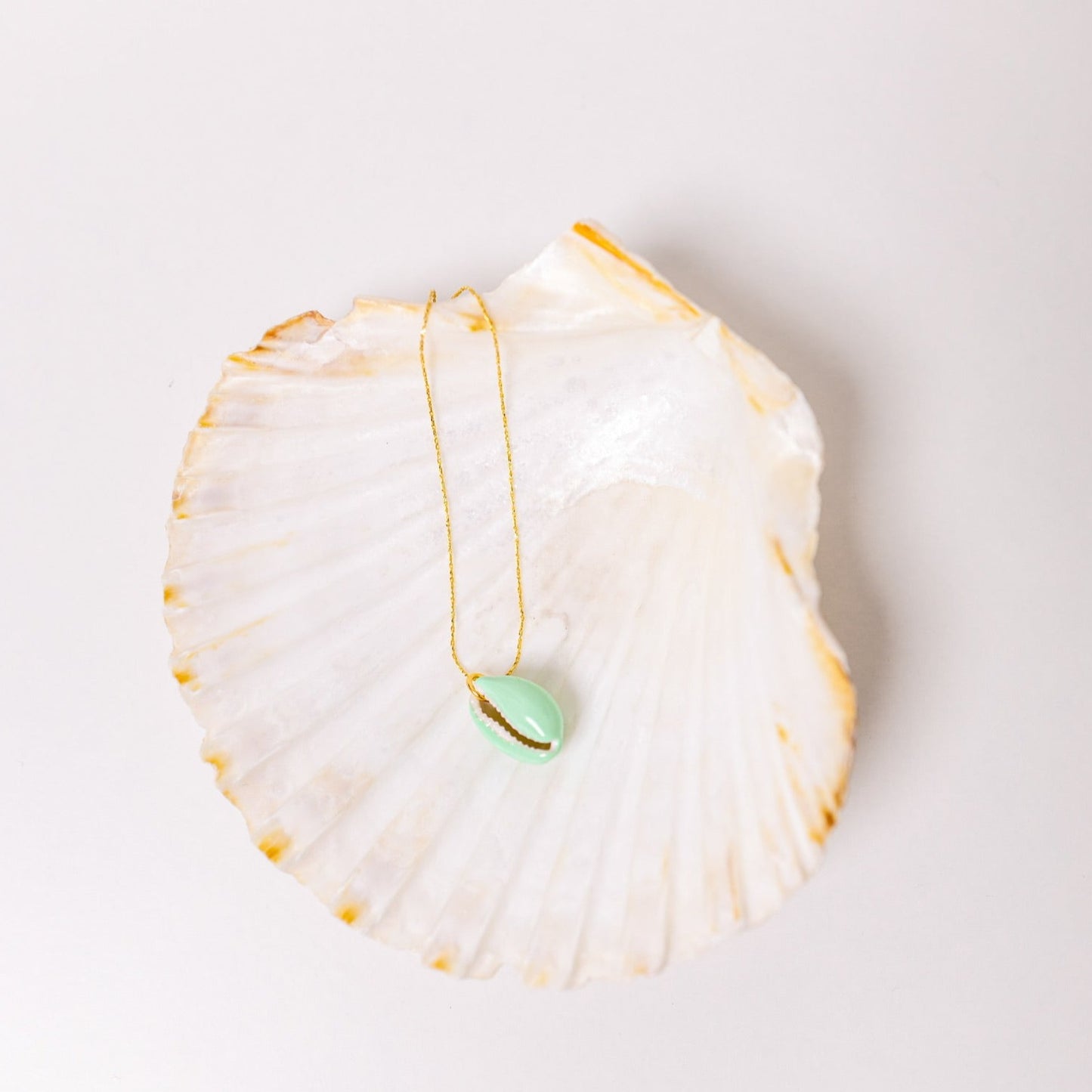 Collier coquillage Vert d'eau - Len Concept