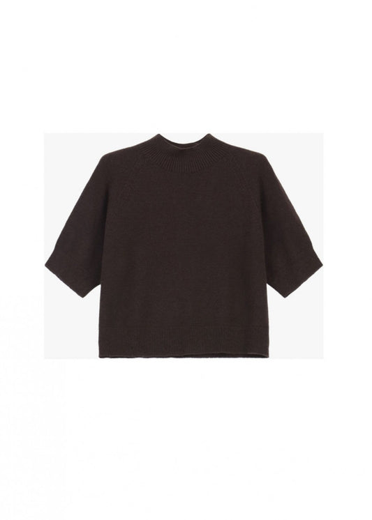 Pull manches courtes marron